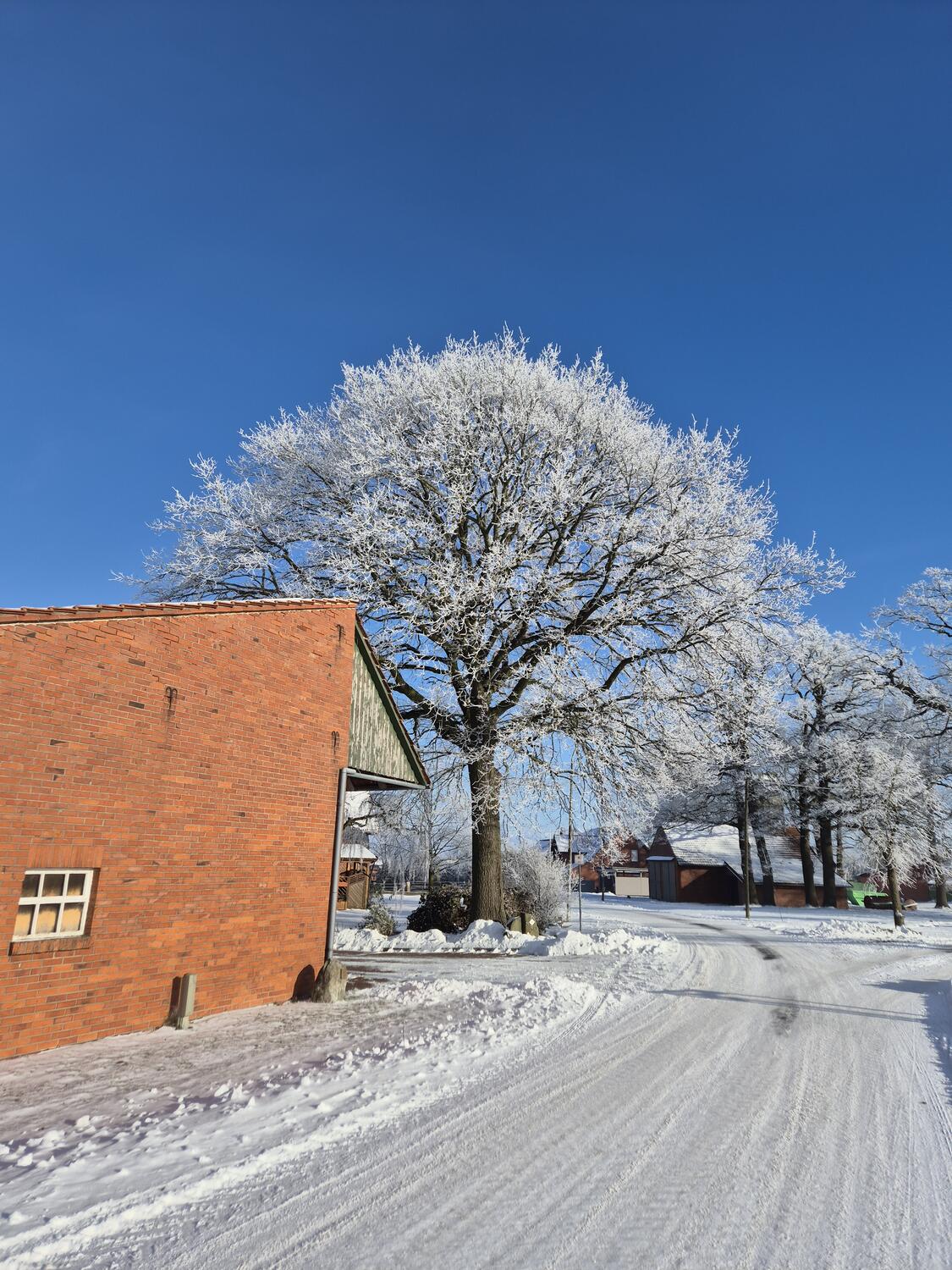 Verschneite Dorfstra&szlig;e in Rosenhagen