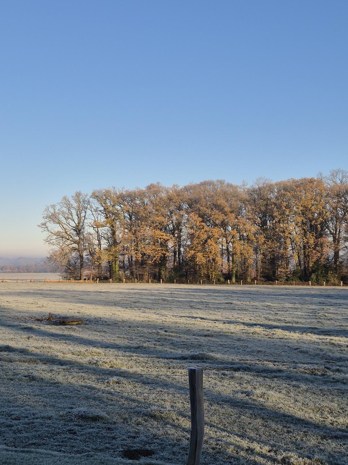 Raureif auf den Feldern rund um Rosenhagen